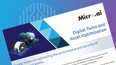 MicroAI Digital Twins and Asset Optimization