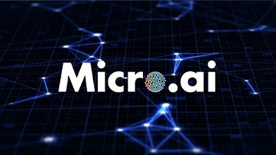 MicroAI | Security Demo